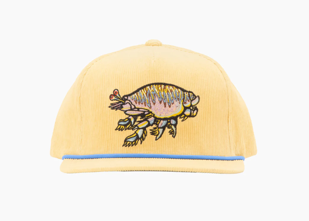 Sand Flea - Flat Brim Corduroy Hat - Image 4