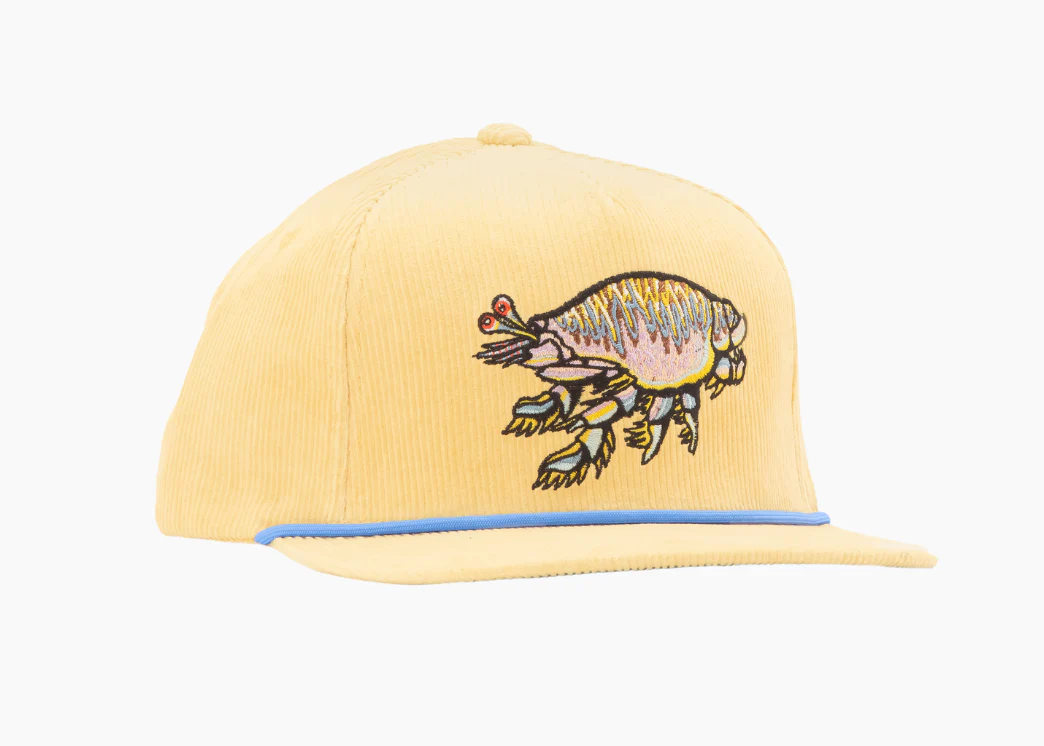 Sand Flea - Flat Brim Corduroy Hat - Image 5